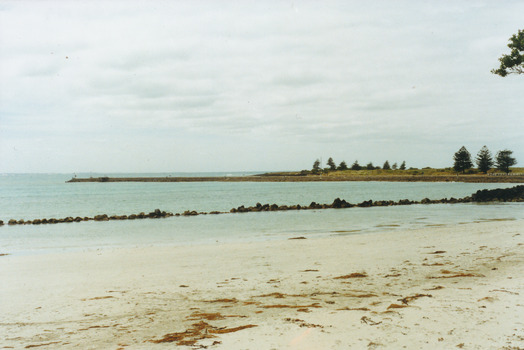 Griffith Island with Norfolk Island Pines and remains of trolly wall