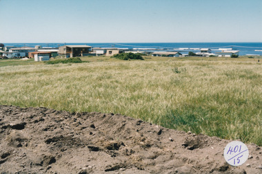 Houses at South Beach between grassland and sea