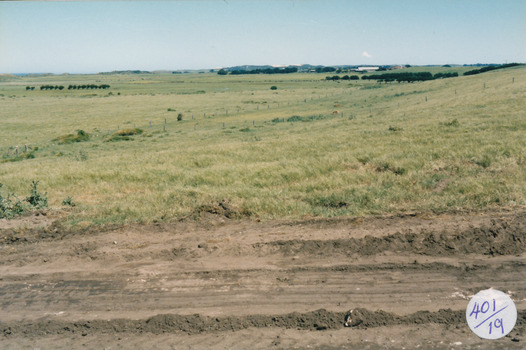 Grasslands in South Beach area