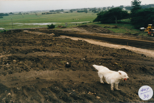 Earthworks in foreground with white dog swamp in background