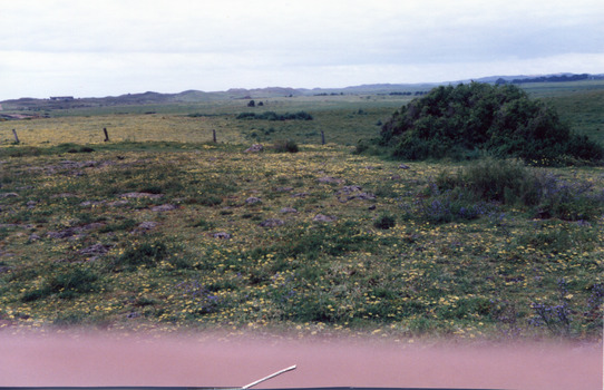 Rocky outcrop looking towards dunes