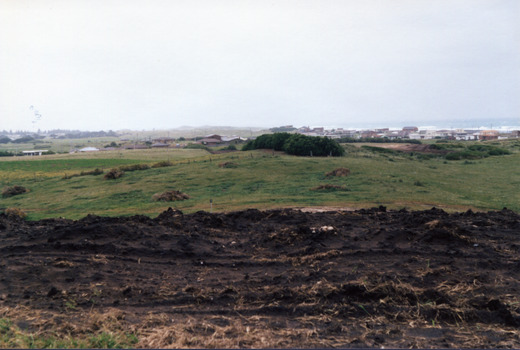 Earthworks in foreground with a tree shelter belt in middle distance and South Beach Estate in distance