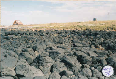 Photograph