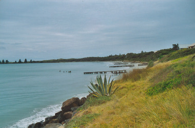 Photograph