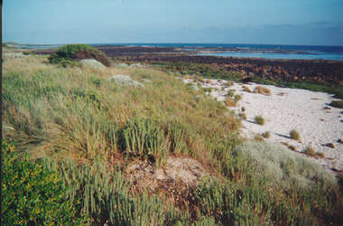 Photograph
