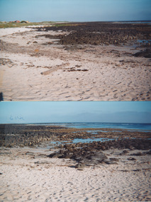 Photograph, 02.12.2000