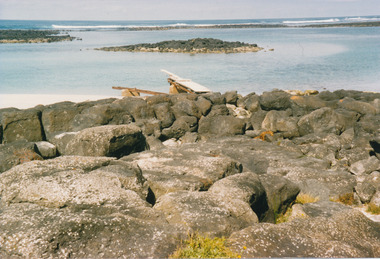 Photograph