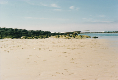 Photograph