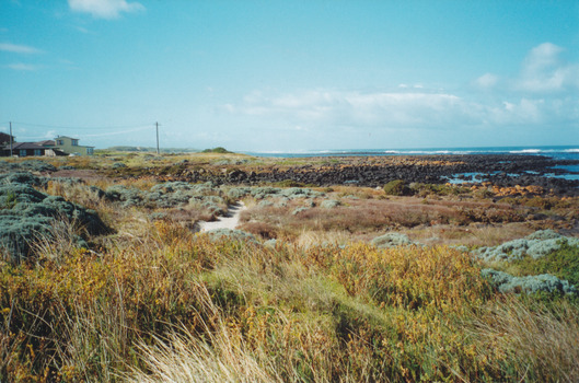 Rocky coastline South Beach looking East over grasslands