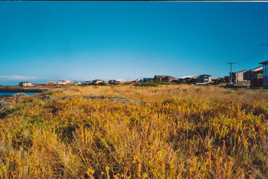 Houses overlooking South Beach grasslands