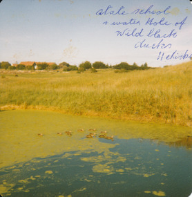Photograph
