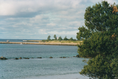 Photograph