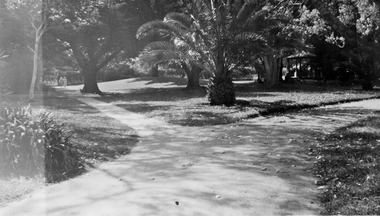 divergent paths with palm tree in centre and rotunda to the right