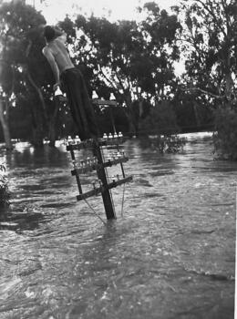 Young man wearing trousers but no shirt stands on a wooden telephone pole with his back to the camera; the pole is submerged in floodwater.