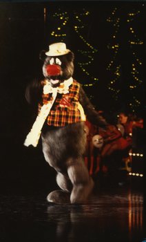 Humphrey B Bear on stage at Carols