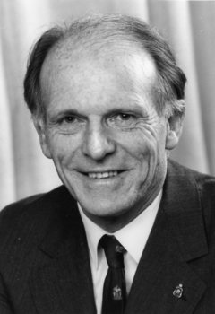 Portrait of smiling man in suit with comb over
