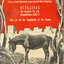 Illustration of donkey eating hay outside city walls and Christmas message from Dunklings