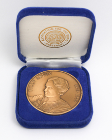 Bronze coloured medallion with illustrations in box