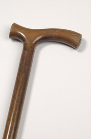 Object, Walking stick belonging to Tom Marks