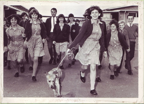 School children with Seeing Eye dog