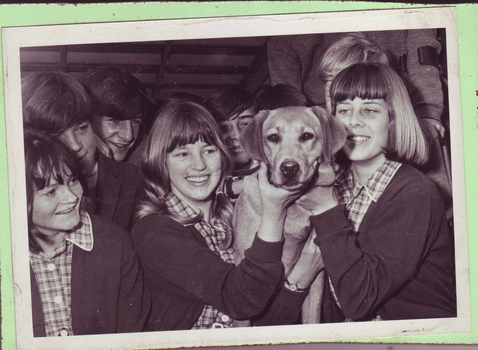 School children with Seeing Eye dog