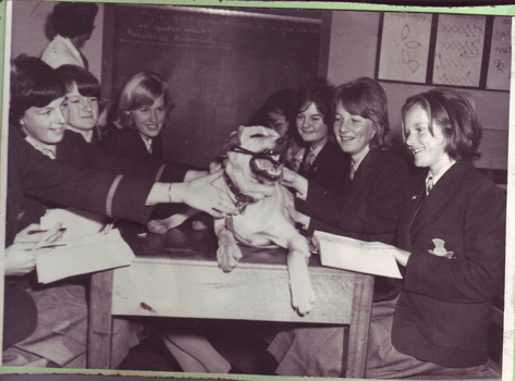 School children with Seeing Eye dog
