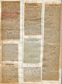 Newspaper cuttings relating to blind people and activities