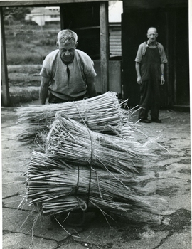 One man pushes a trolley of millet stalks whilst another watches