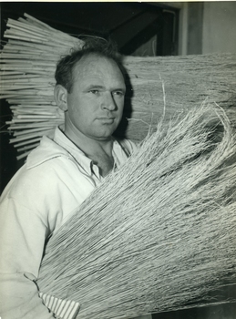 Man holds millet stalks in a bundle