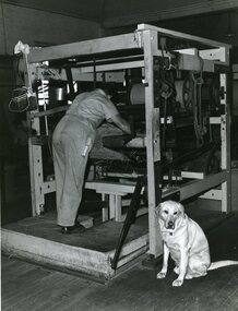 George Stibbs operating a mat making machine with Rex on lookout