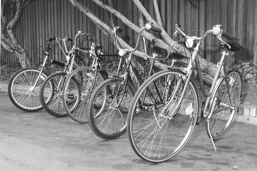 Row of Mitchell cycles underneath a tree