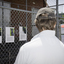 Looking at photographs of dogs profiles on fence