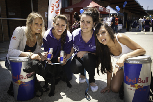 Group of staffers and Red Bull girls with black Labrador