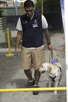Staff member with a working dog