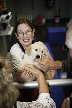 Woman holding SEDA puppy as hands reach out to pat