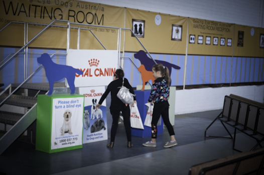 Royal Canin display and waiting room at SEDA