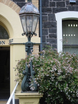 Lamp post with flowering bush underneath and '557' visible behind