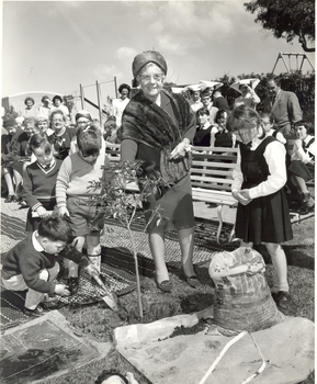 Mrs Tutton planting a tree at Burwood with school children