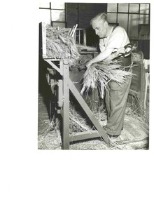 Man feeding millet stalks into binder