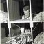 Man gathering stalks from row of boxes