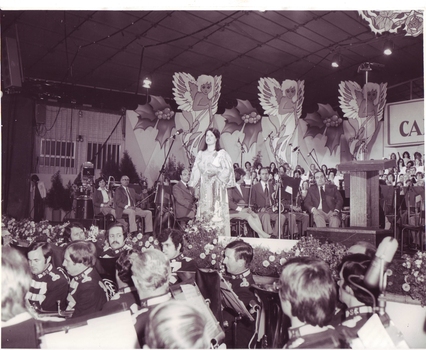 Judith Henley singing on stage in a long flowing gown