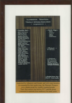 Laminated plaque with inscribed panels