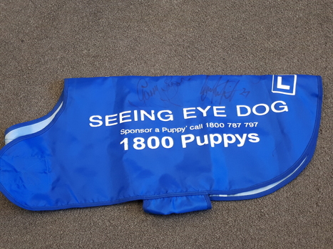 Blue polyster dog coat with two signatures upon it