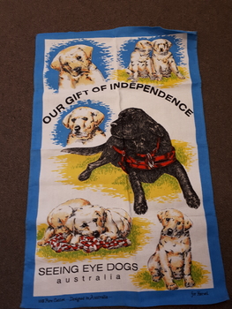 Drawings of various labradors edged in blue