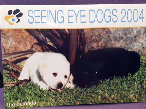 Paper calendar with images of puppies