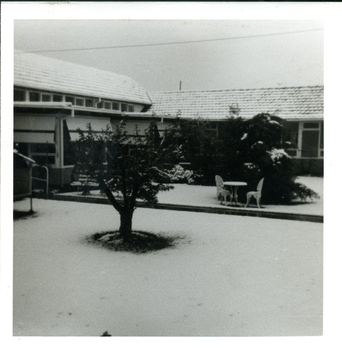 Kelaston turned into a snowy landscape