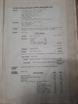 Minutes of the Royal Blind Society of NSW Council meeting