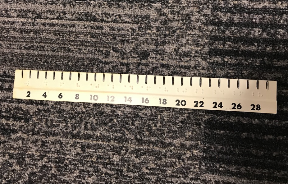 30cm Transparent Flexible Ruler At Australia's Lowest Prices