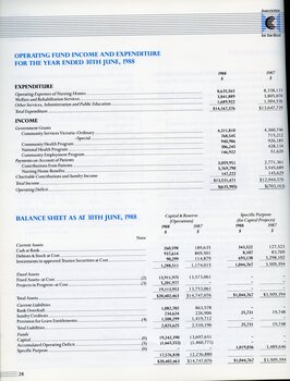 Operating fund and expenditure and balance sheet.