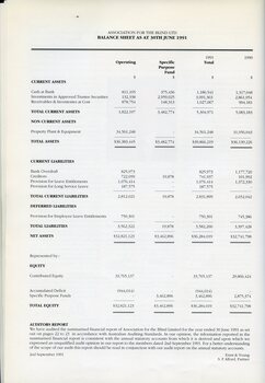 Balance sheet for the AFB